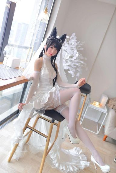 潜入搜查_BD免费电视剧