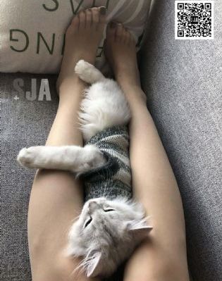假面骑士时王免费观看普通话版_高清免费在线播放