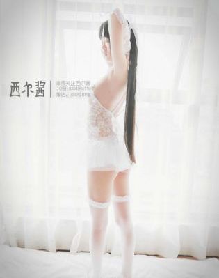 凤归四时歌 电视剧_国语版在线观看免费