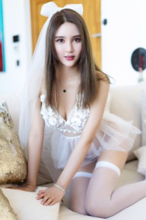 炮神 电视剧_1080HD高清在线观看