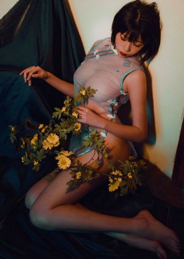 女士的法则电视剧全部剧集_超清在线观看电视